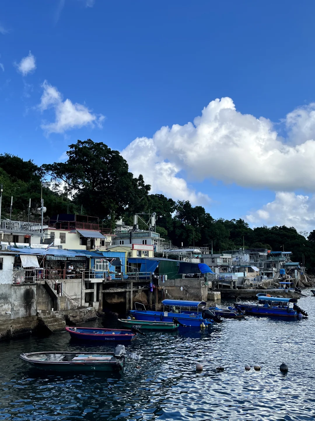 来香港别挤坚尼地了！！花20💰直达小新西兰！！