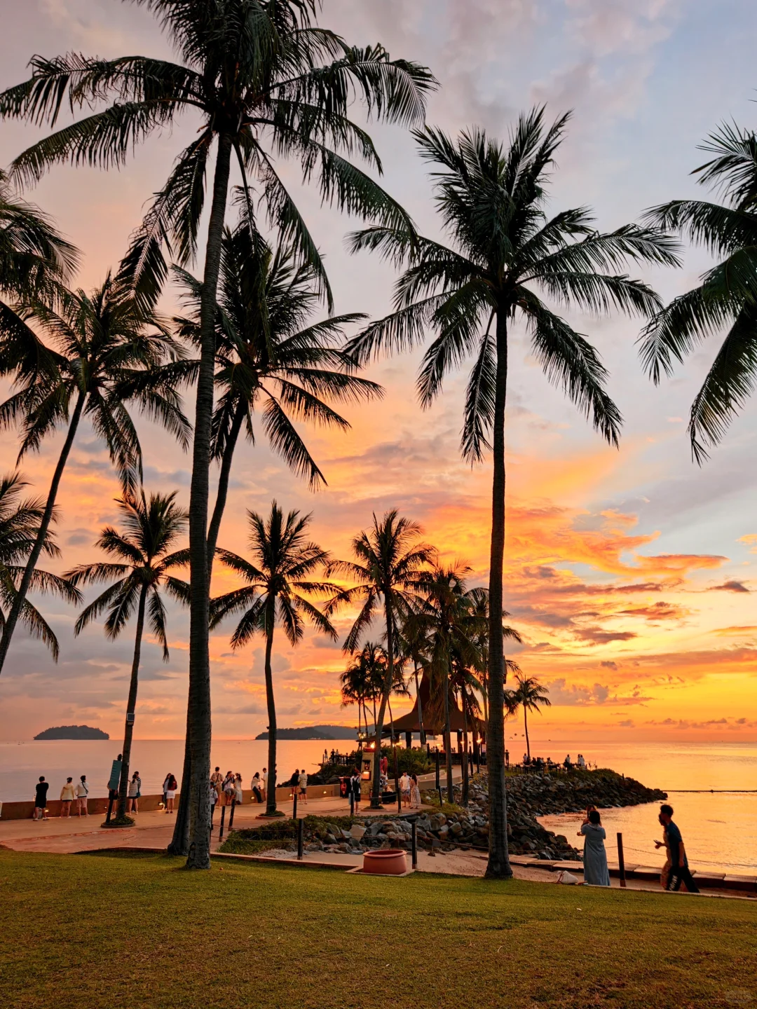 亚庇日落6.16豪赌成功，不愧为世界第三大！