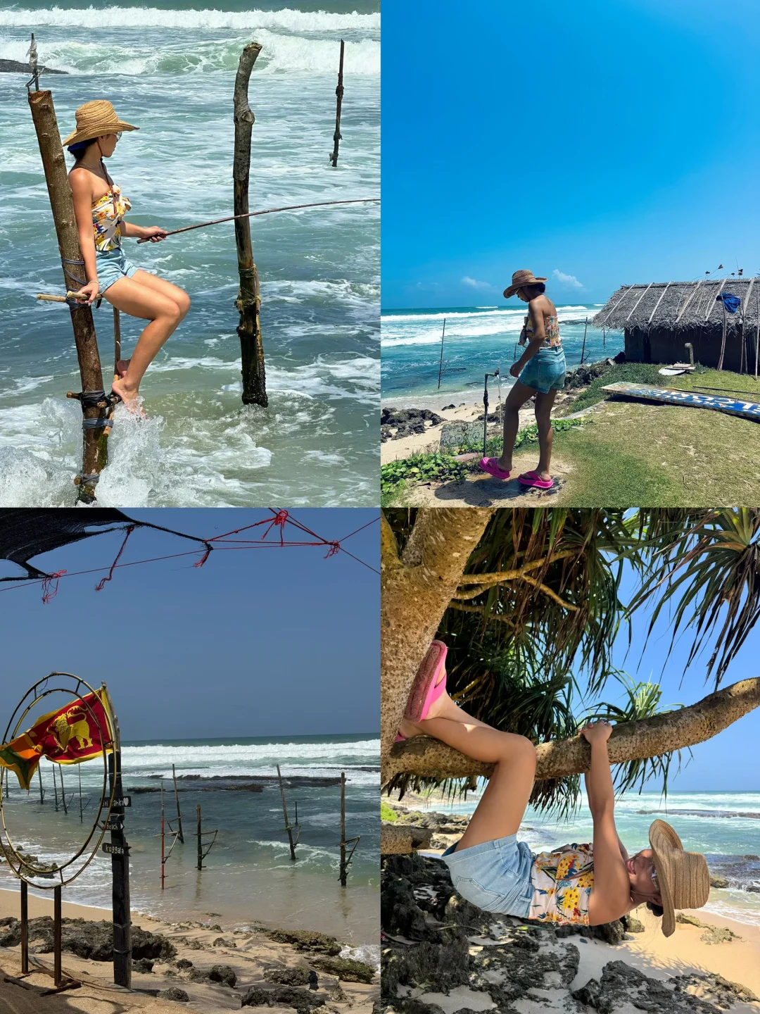 斯里兰卡🇱🇰8天环岛游攻略🧳人均4k！