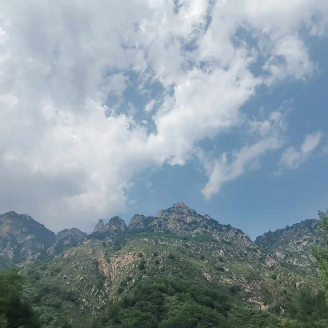 🌲 天津出发！带老小自驾避暑仙境🥰