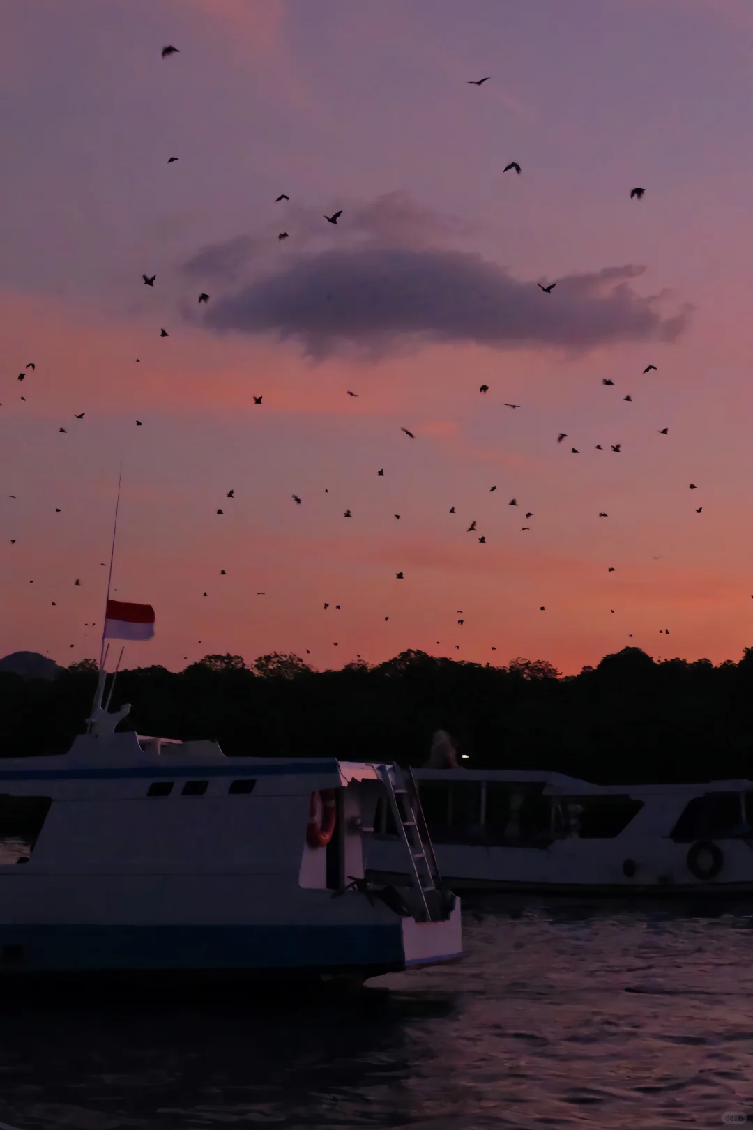 孤独星球这一页⛰️🦌 | 印尼8天7晚攻略