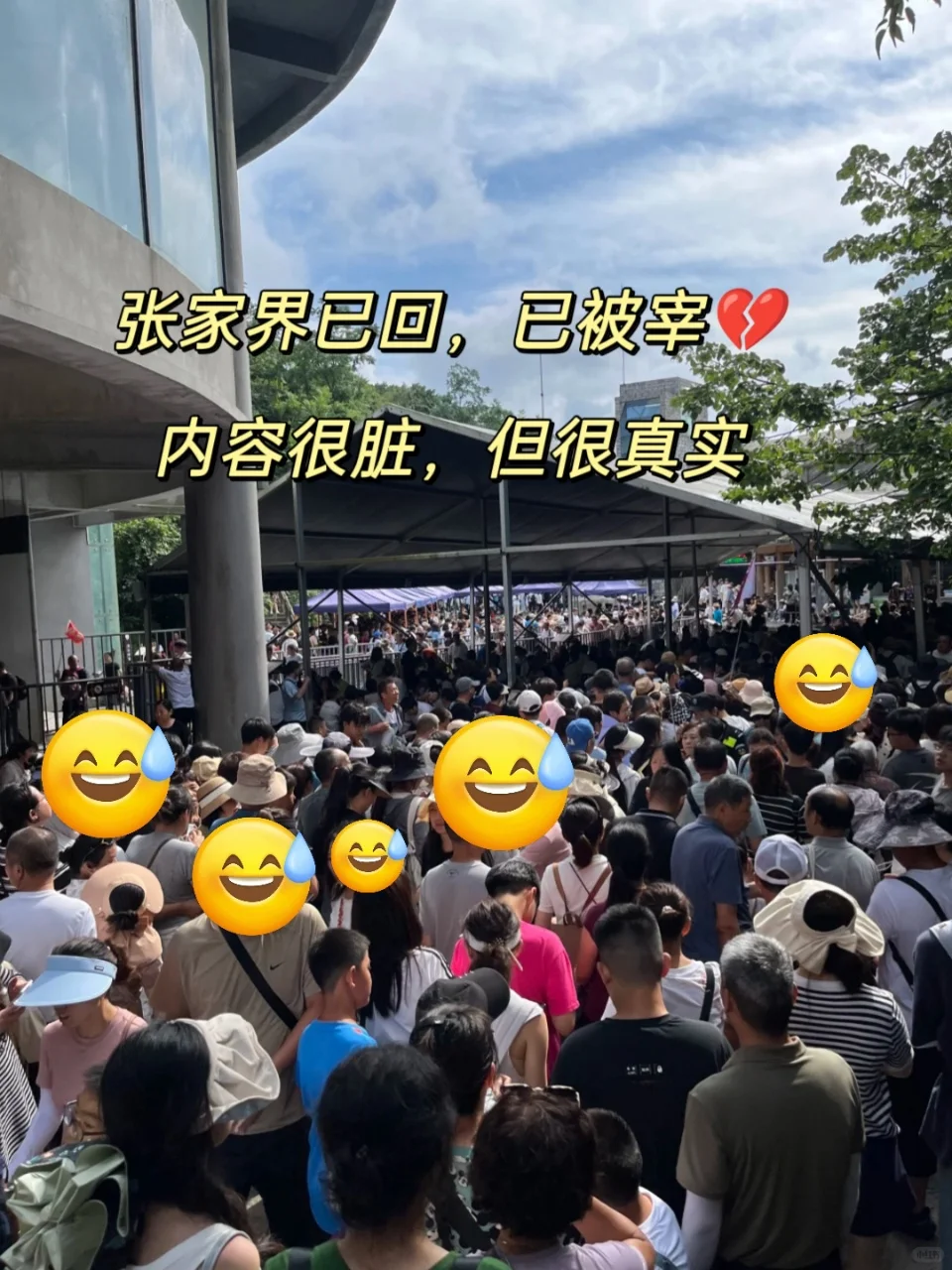 带800去张家界…结果花了2600…避雷了!😰