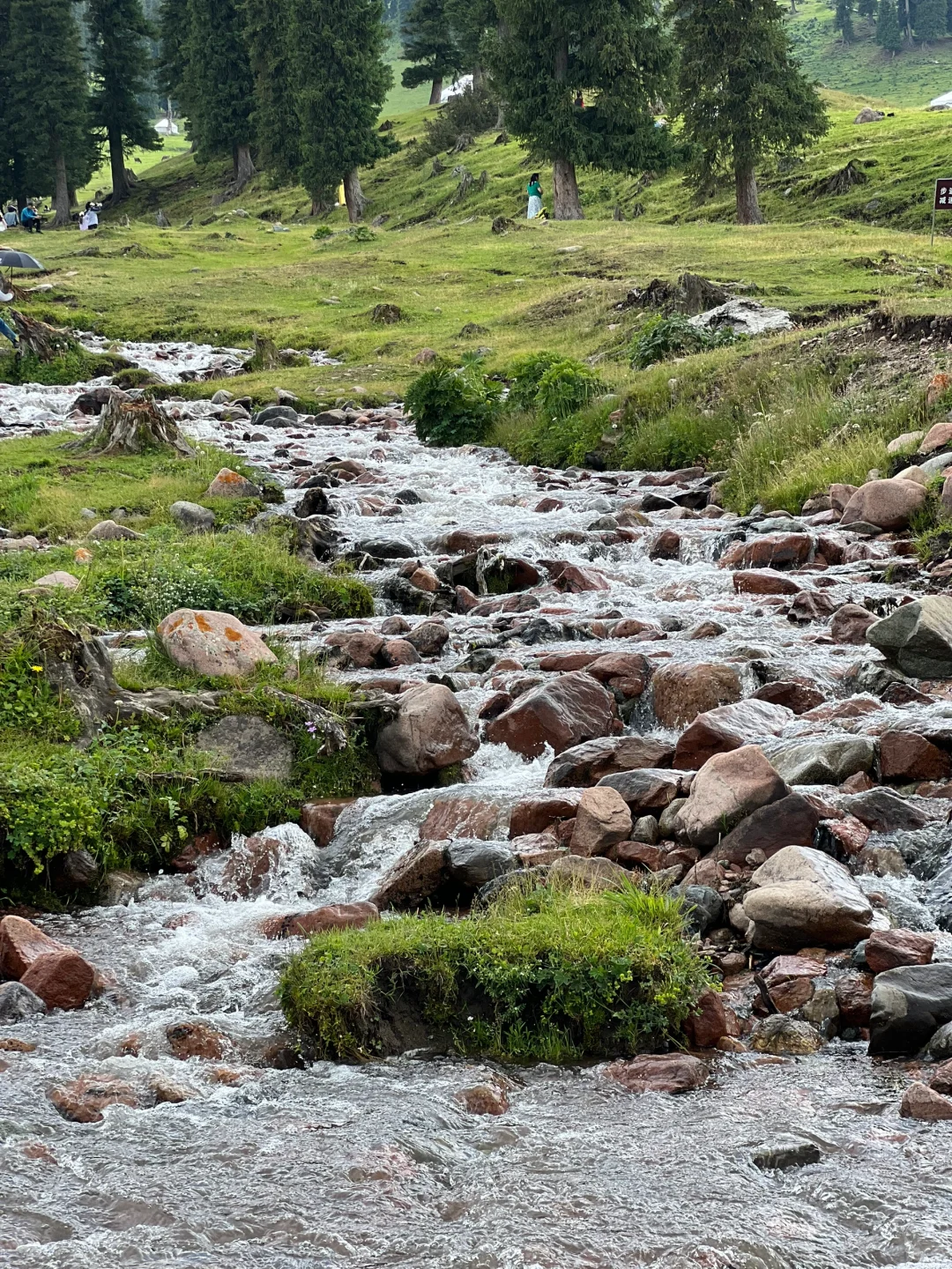6月24日 那拉提 ~ 新疆游