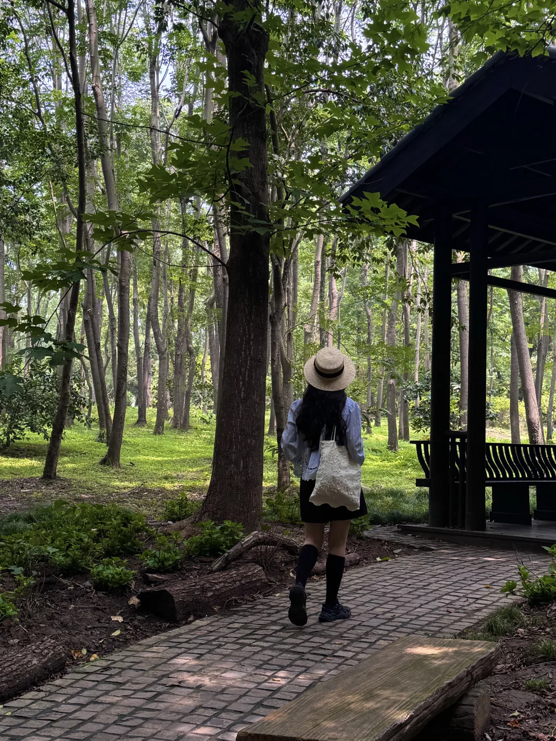 南京是个巨大的绿色能量场🍃