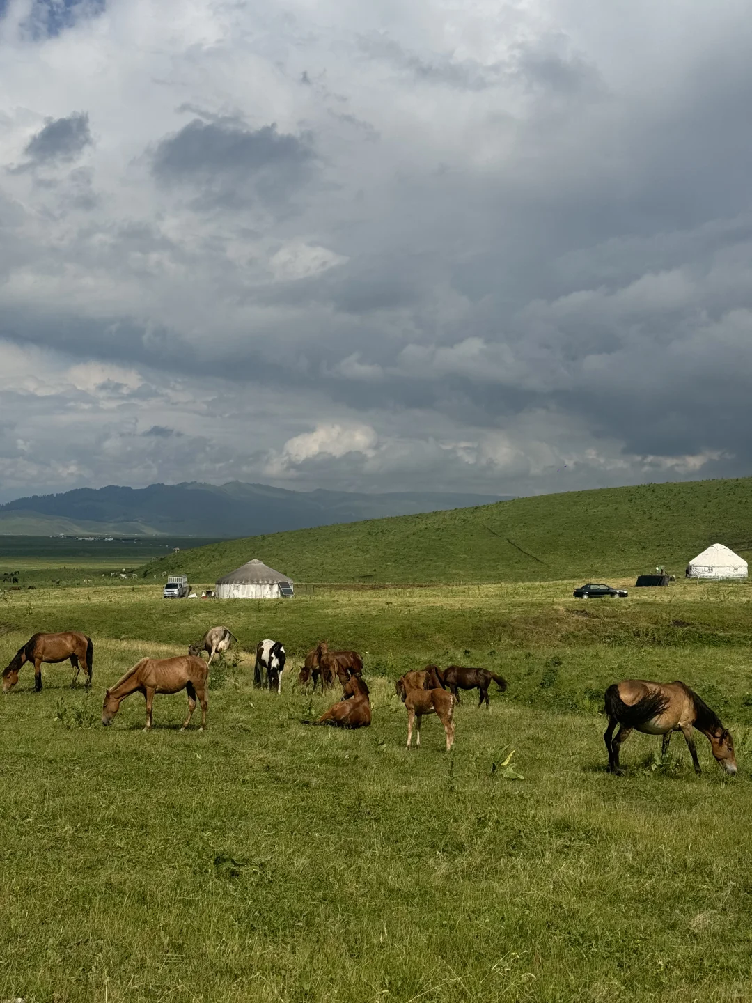 6月24日 那拉提 ~ 新疆游