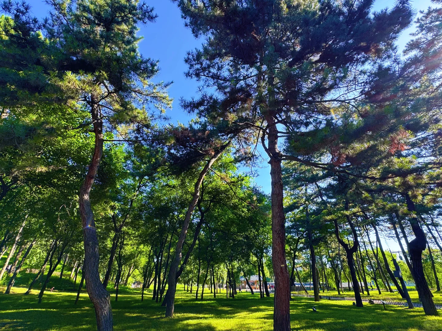 承德避暑天花板！乾隆爷的夏日行宫！