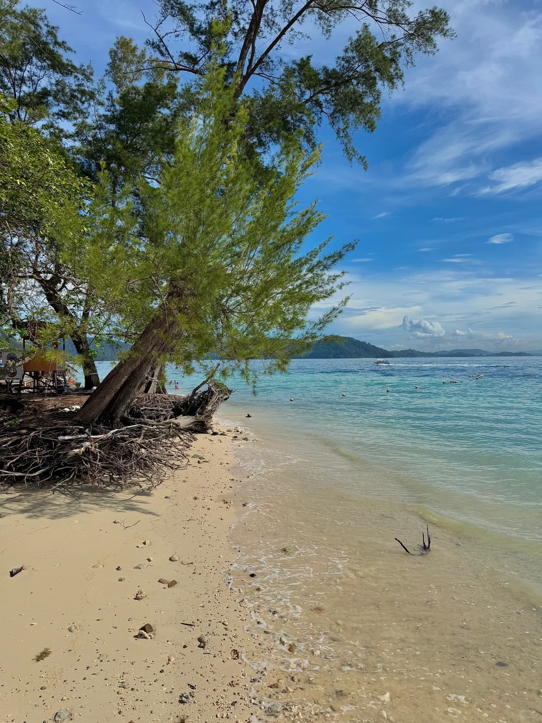 广州打工人挑战每周出玩第1️⃣站：亚庇 ！！！