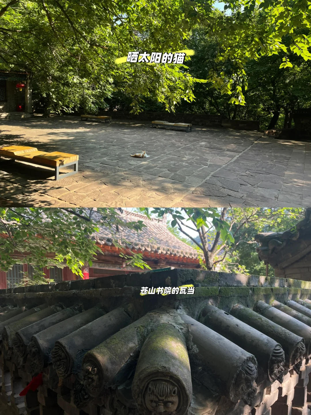 苍岩山给的清幽和满足