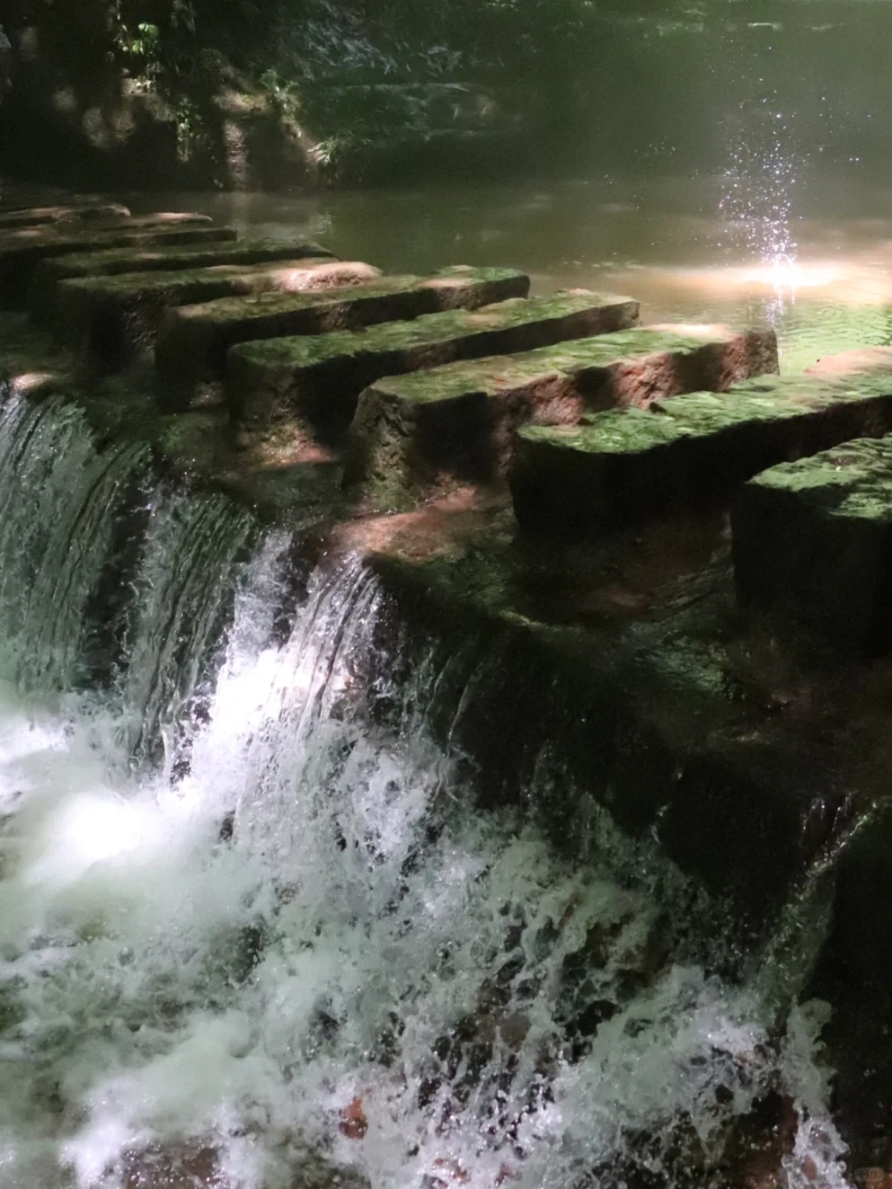 川西竹海📍1h直达，玻璃天桥直通云端！