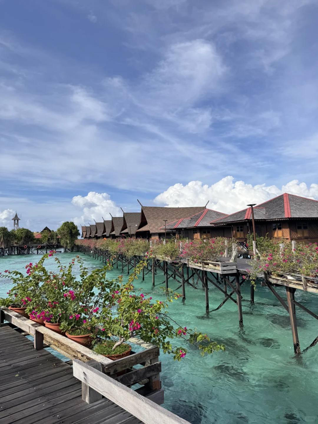 夏天就应该到海边