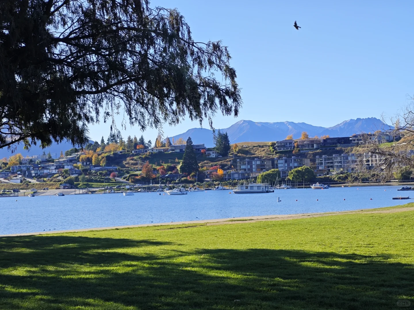 新西兰五一假期人均1.1w，7天6晚，不自驾版