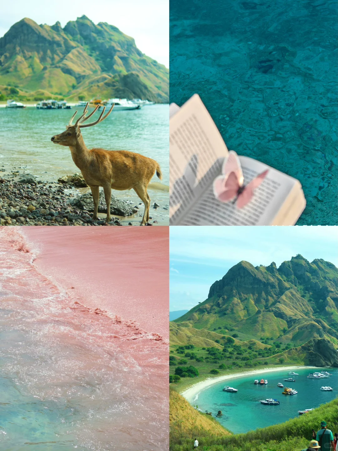 孤独星球这一页⛰️🦌 | 印尼8天7晚攻略