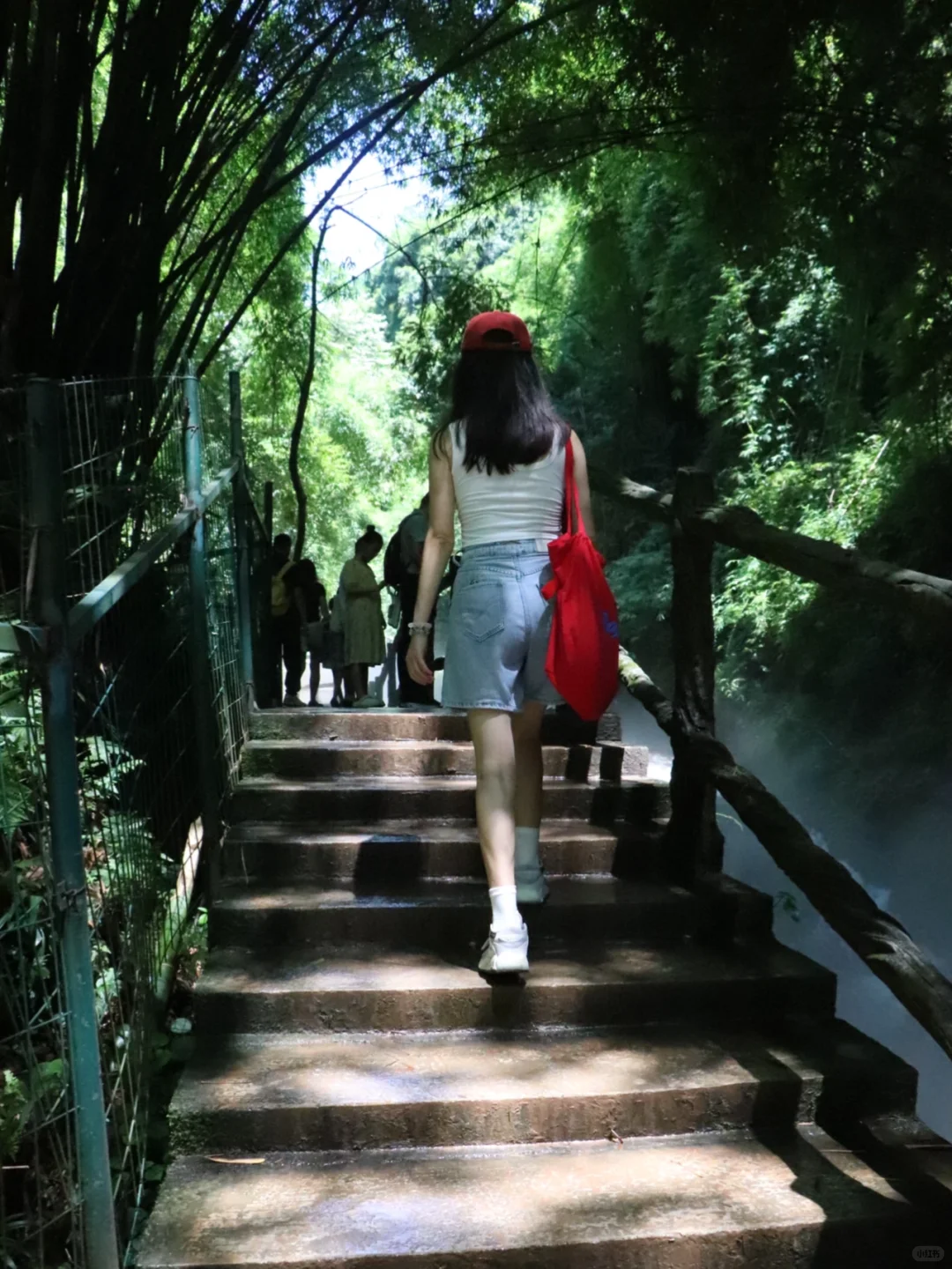 川西竹海📍1h直达，玻璃天桥直通云端！