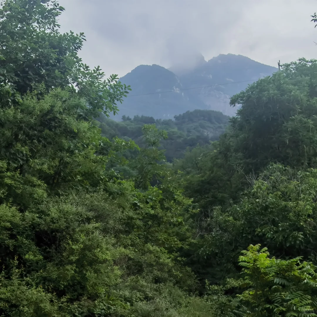 🌲 天津出发！带老小自驾避暑仙境🥰