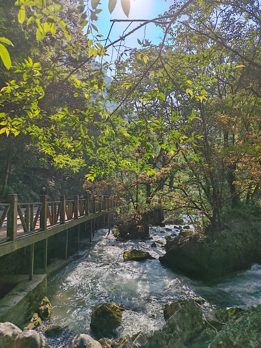 7.28荔波小七孔东进东出5小时版