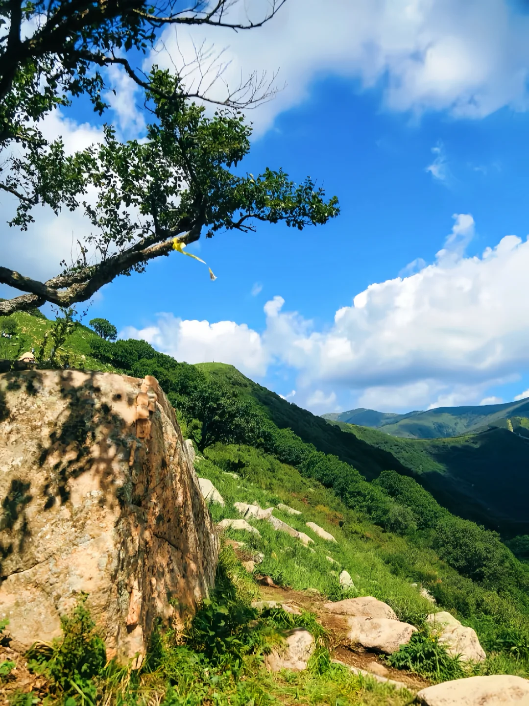 1.5h逃离北京｜闯入京郊“小瑞士”🇨🇭