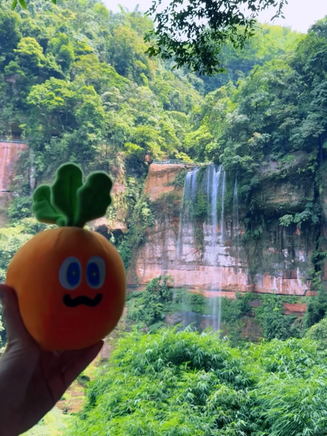 在贵州赤水‼️唯一让我想去N次的宝藏小城！