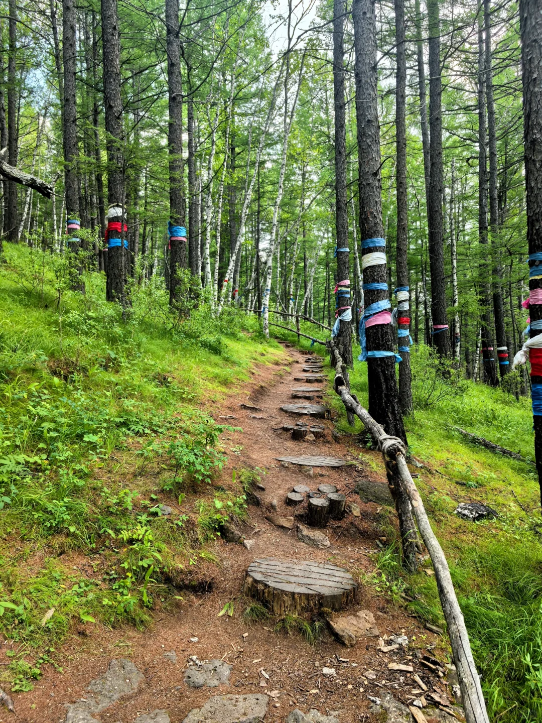 阿尔山Day2：奥伦布坎藏惊喜，五里泉淋雨
