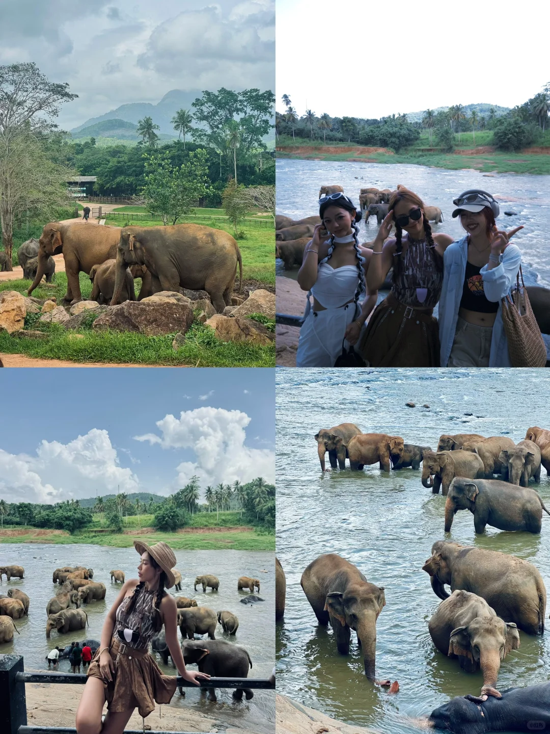 斯里兰卡🇱🇰8天环岛游攻略🧳人均4k！