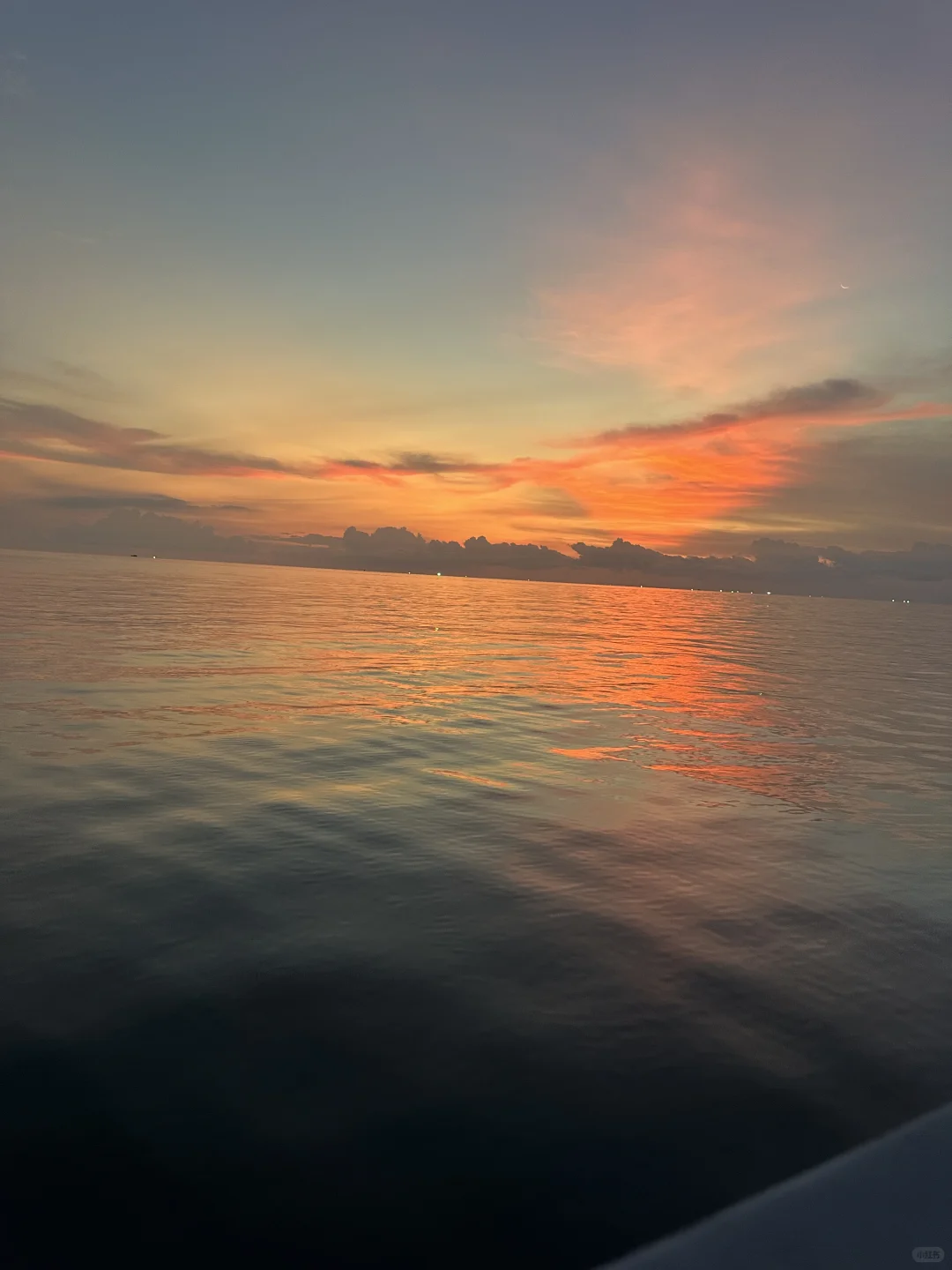 🐚 •*¨*•果冻海𓇼 🐬