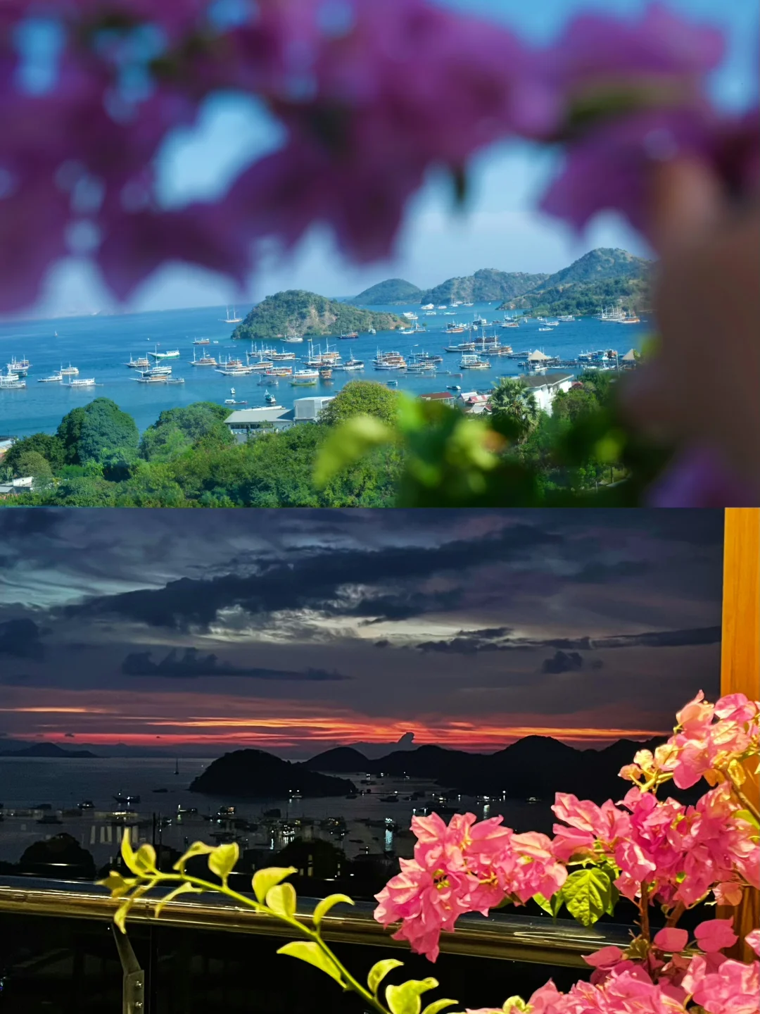 孤独星球这一页⛰️🦌 | 印尼8天7晚攻略