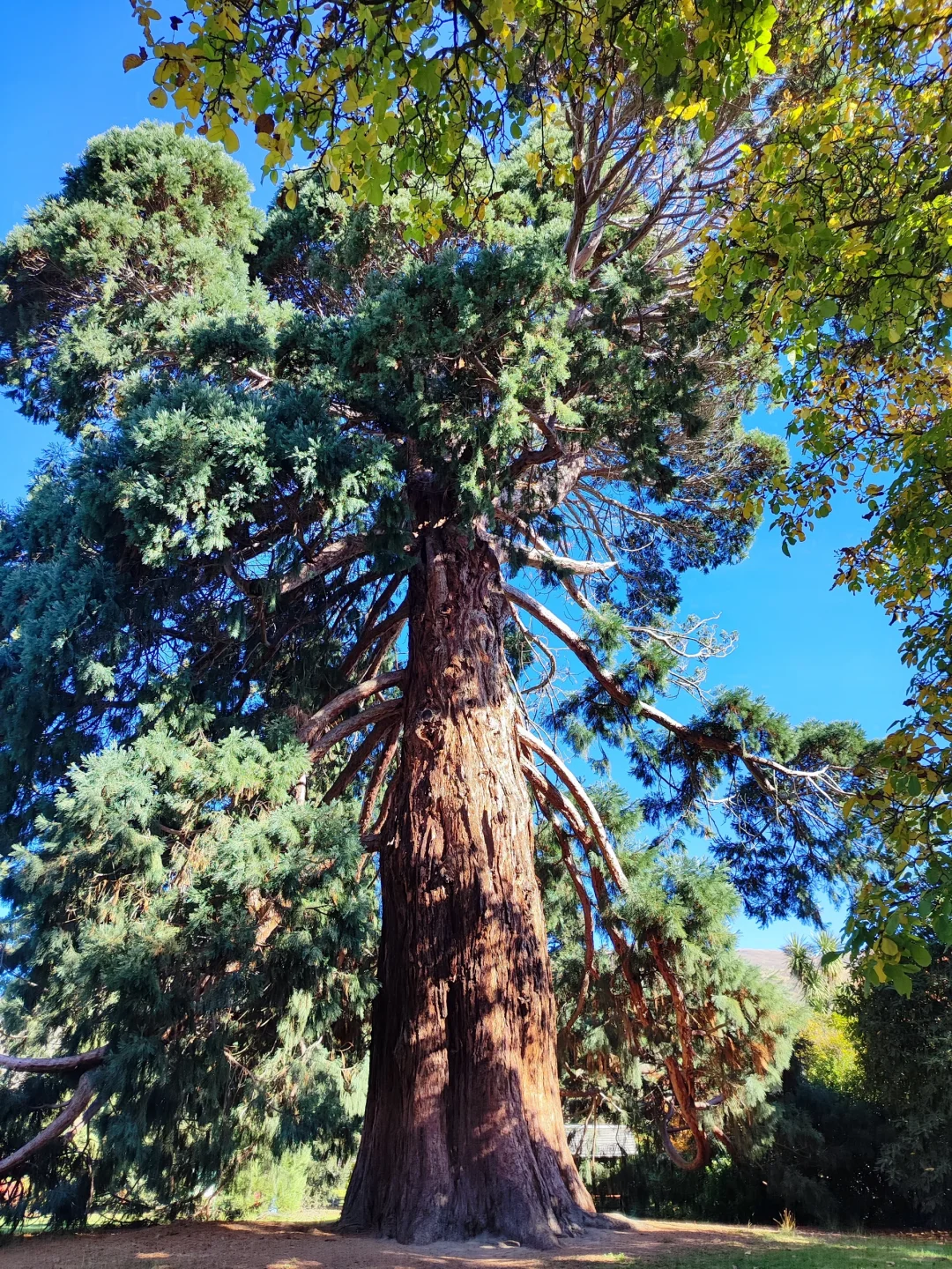 新西兰五一假期人均1.1w，7天6晚，不自驾版