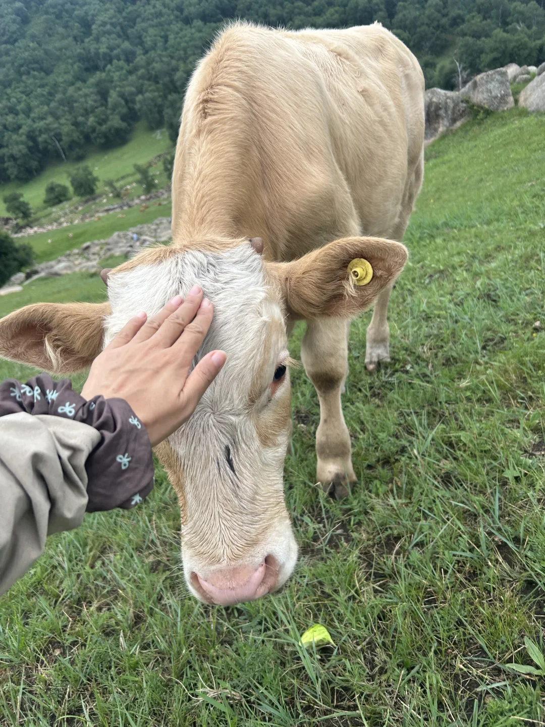 大青山 不迷信天气预报