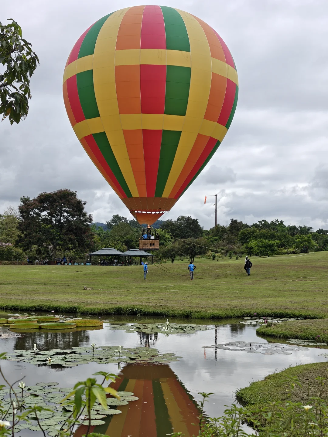 22km用脚丈量西双版纳热带植物园