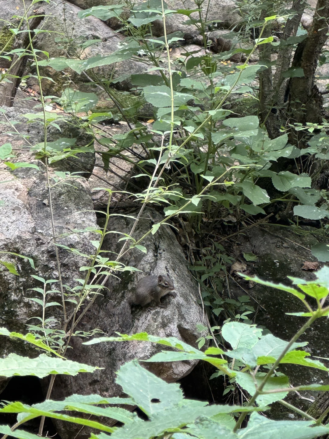 驼梁山攻略-周六石家庄市区出发版