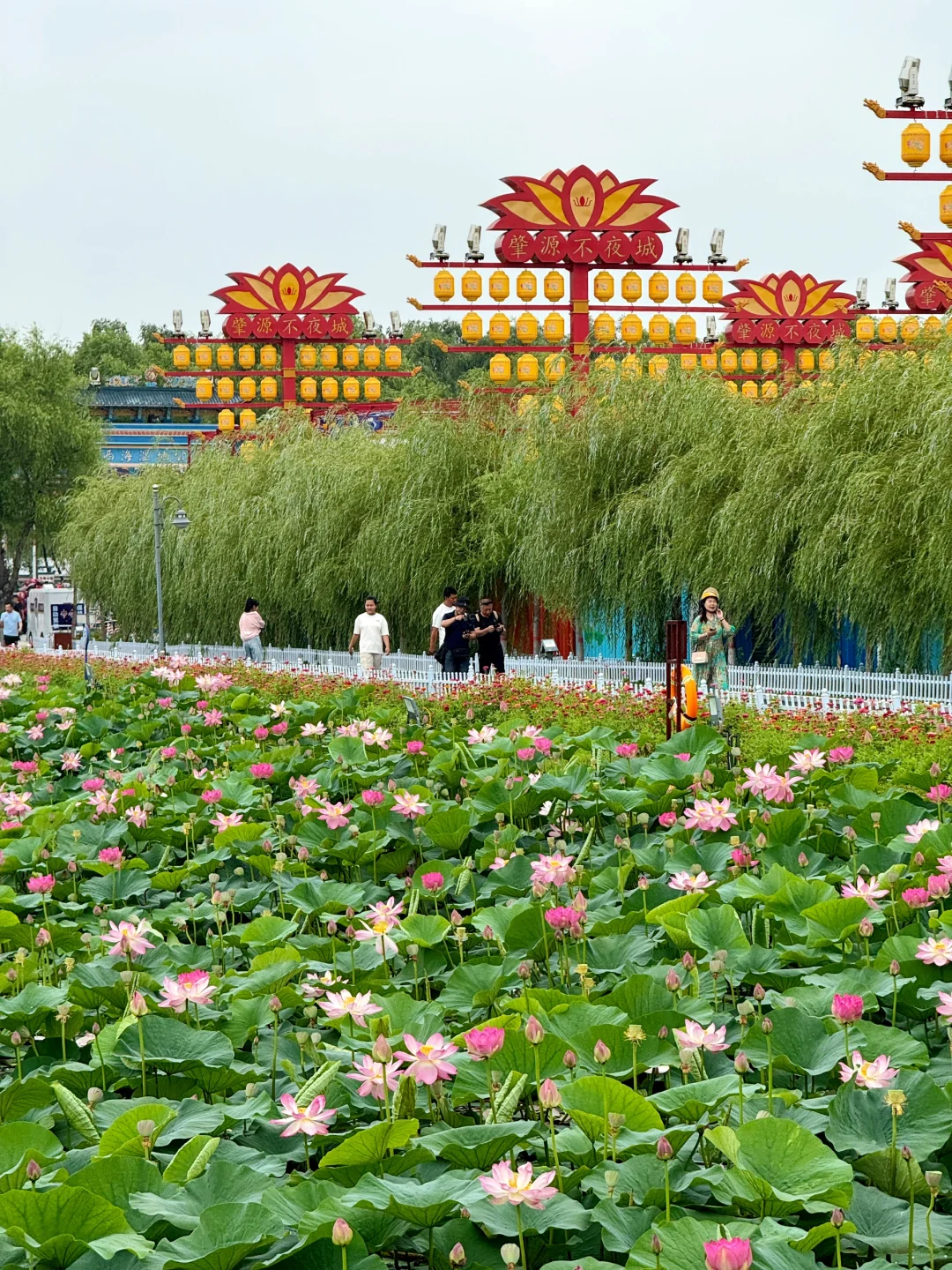 原来大庆周边还有这么多免费的好地方❗️❗️