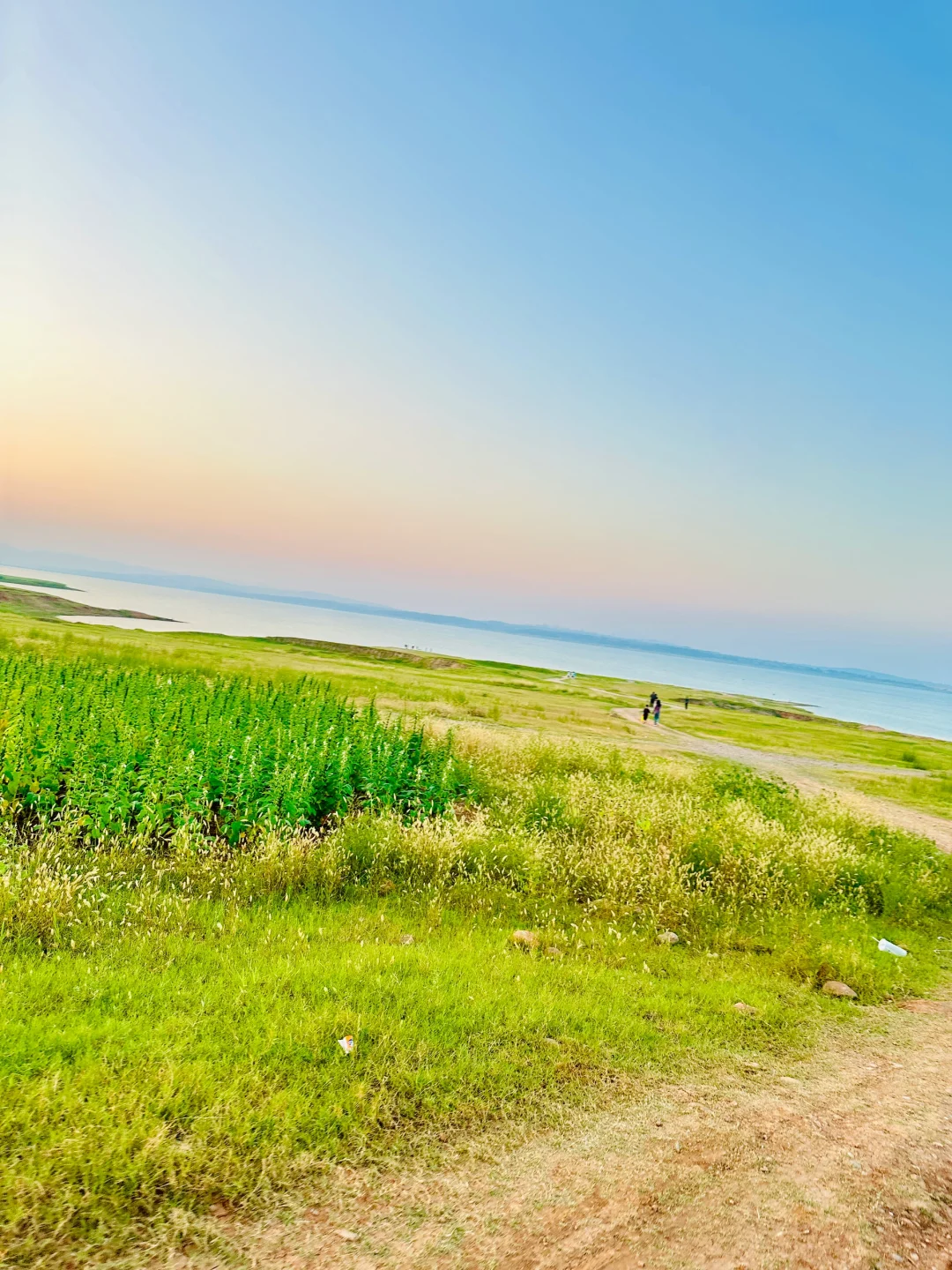 邯郸“阿勒泰”大草原，美的像一幅画🖼️