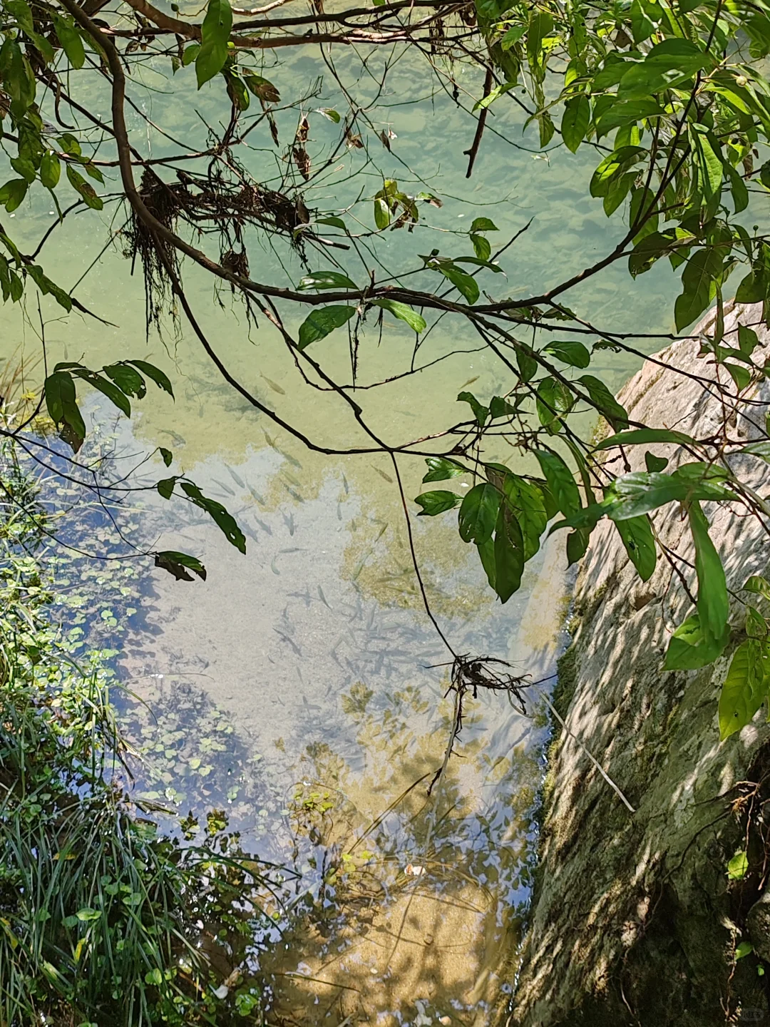 7.28荔波小七孔东进东出5小时版