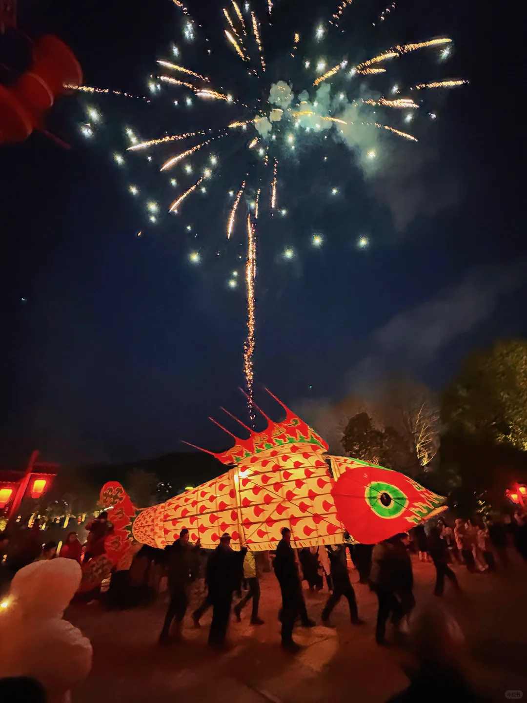 辛弃疾没骗我～“一夜鱼龙舞”真的很浪漫呀