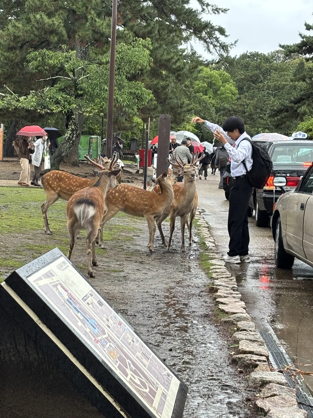 大阪旅游的tips与国外内差异感受
