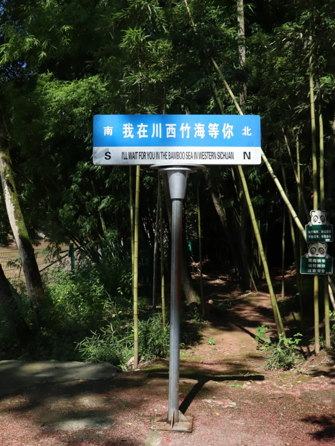 川西竹海📍1h直达，玻璃天桥直通云端！