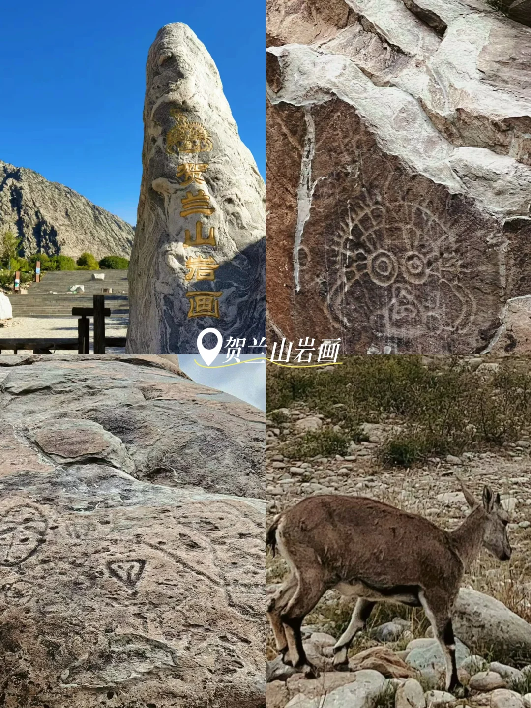 暑假反向游❗️一座被低估的宝藏城市❗️