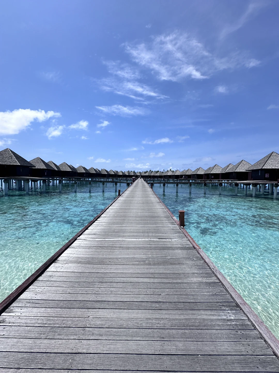 马尔代夫只花1W装出了5W｜0套路分享🏝💸