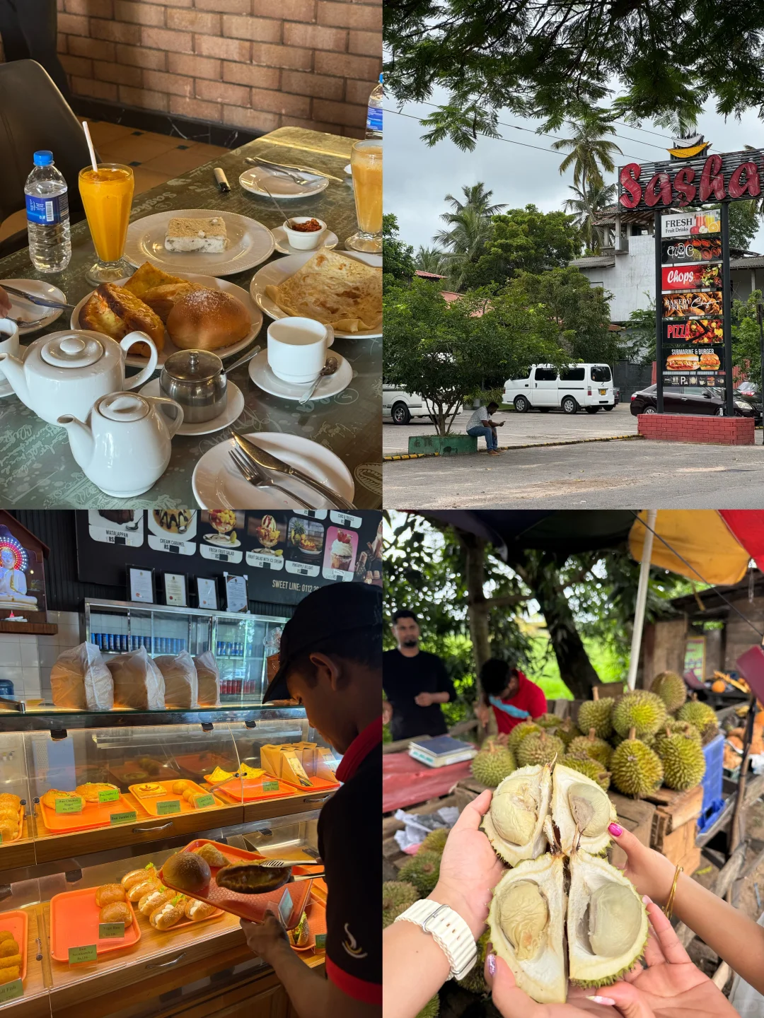 斯里兰卡🇱🇰8天环岛游攻略🧳人均4k！