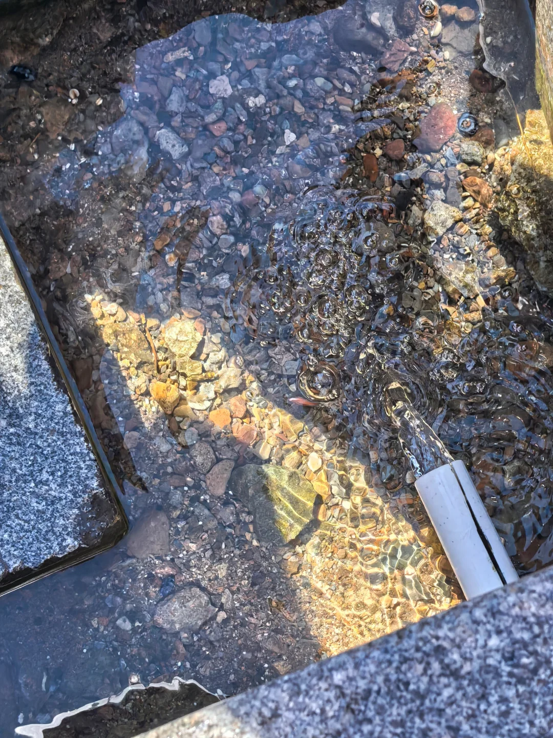 阿尔山Day2：奥伦布坎藏惊喜，五里泉淋雨