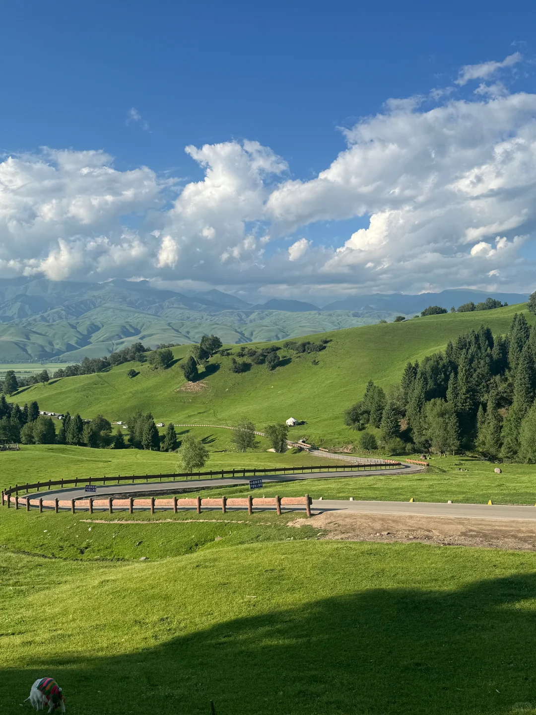 6月24日 那拉提 ~ 新疆游