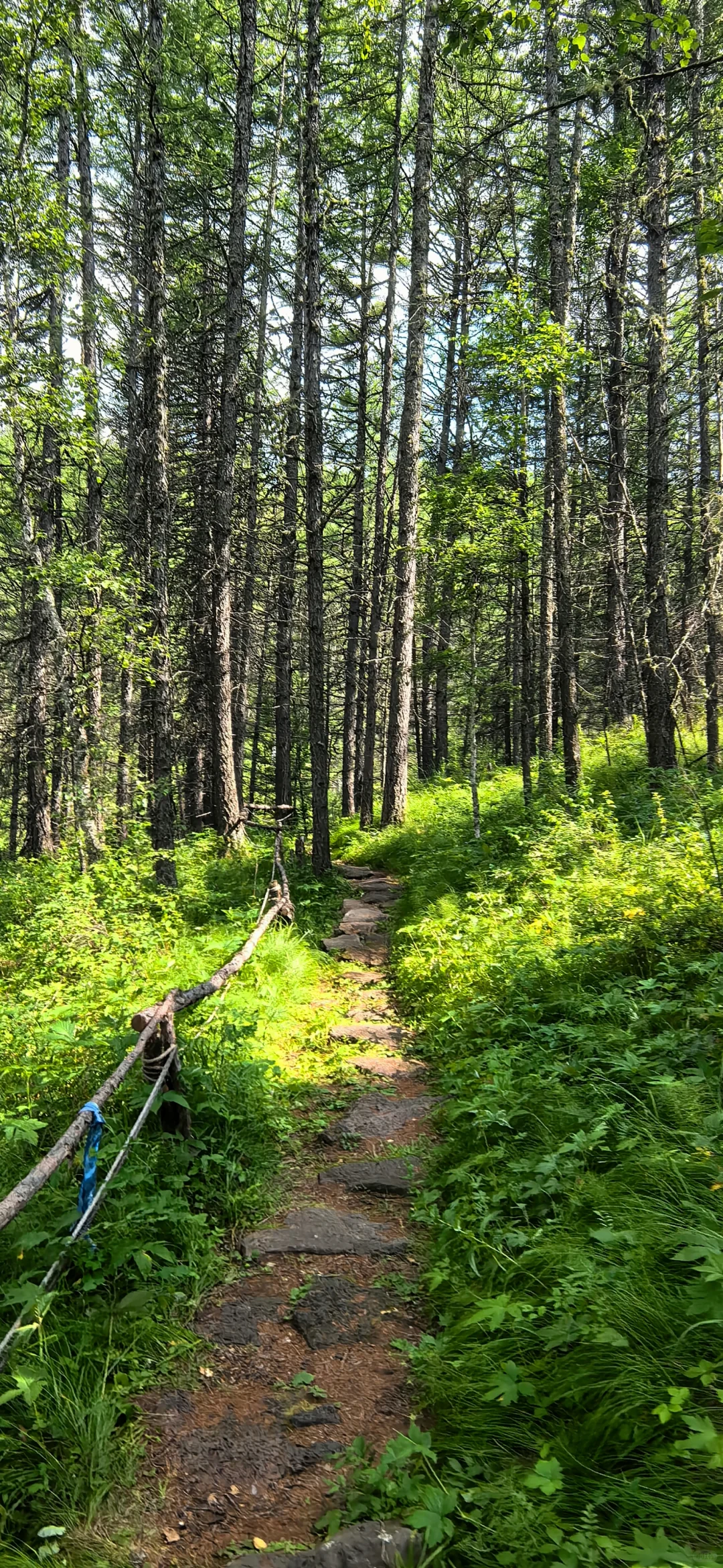 阿尔山Day2：奥伦布坎藏惊喜，五里泉淋雨
