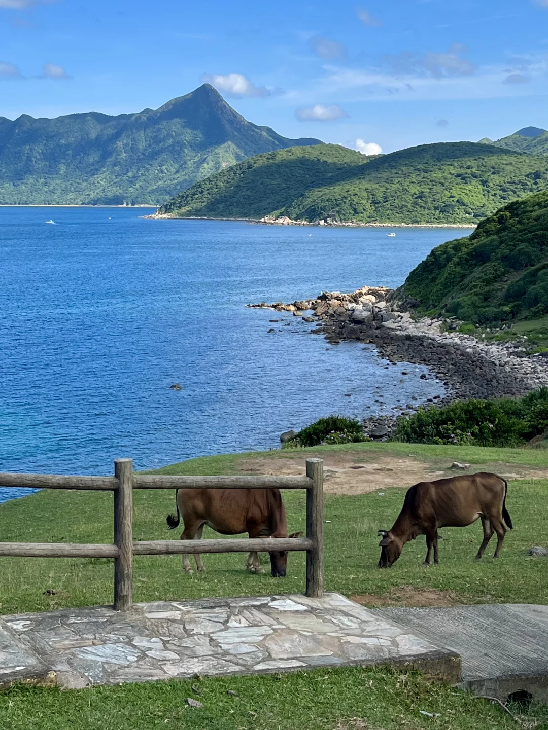 来香港别挤坚尼地了！！花20💰直达小新西兰！！