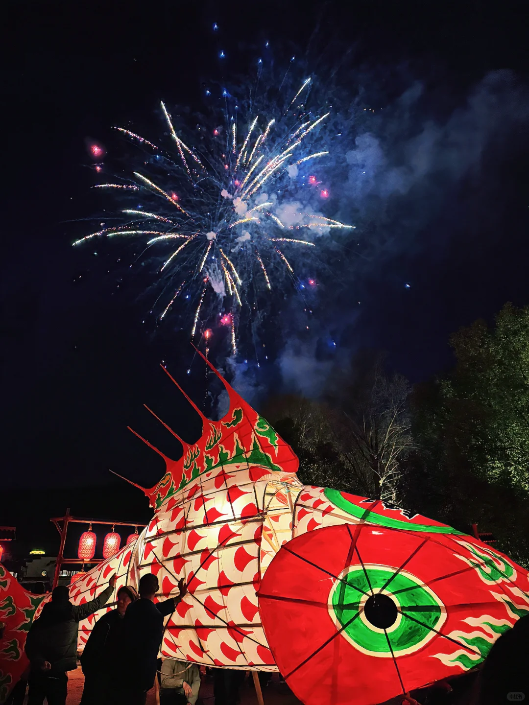 辛弃疾没骗我～“一夜鱼龙舞”真的很浪漫呀