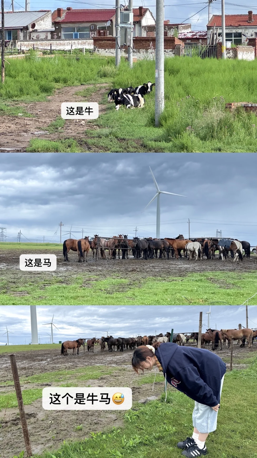 北京实习生周末出行第一站！📍乌兰察布！！！