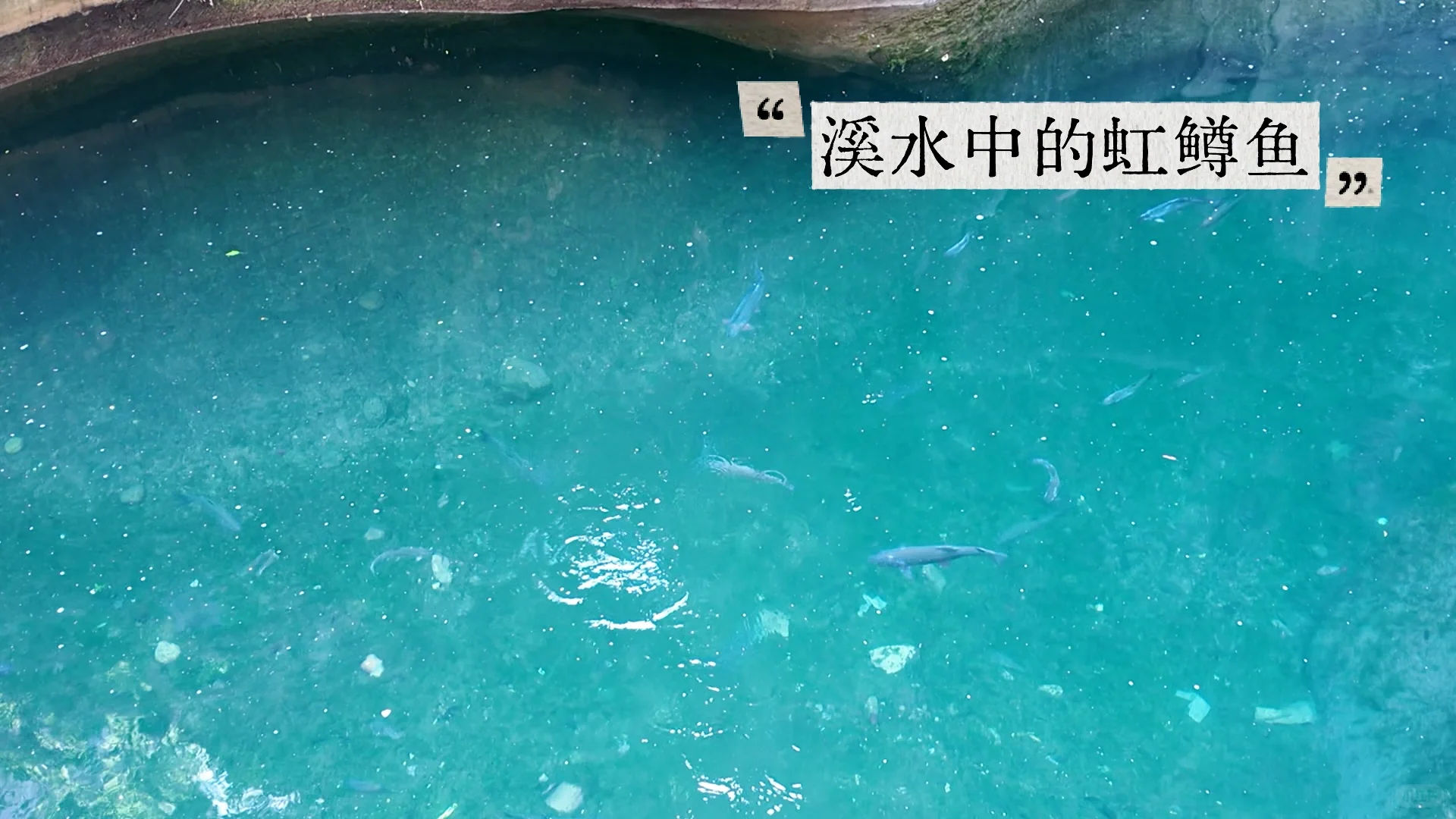 八泉峡⛰️｜适合所有人 不挤不晒还省腿攻略🔥