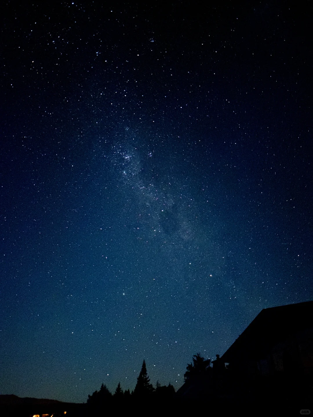 我自由浪漫的二零二四