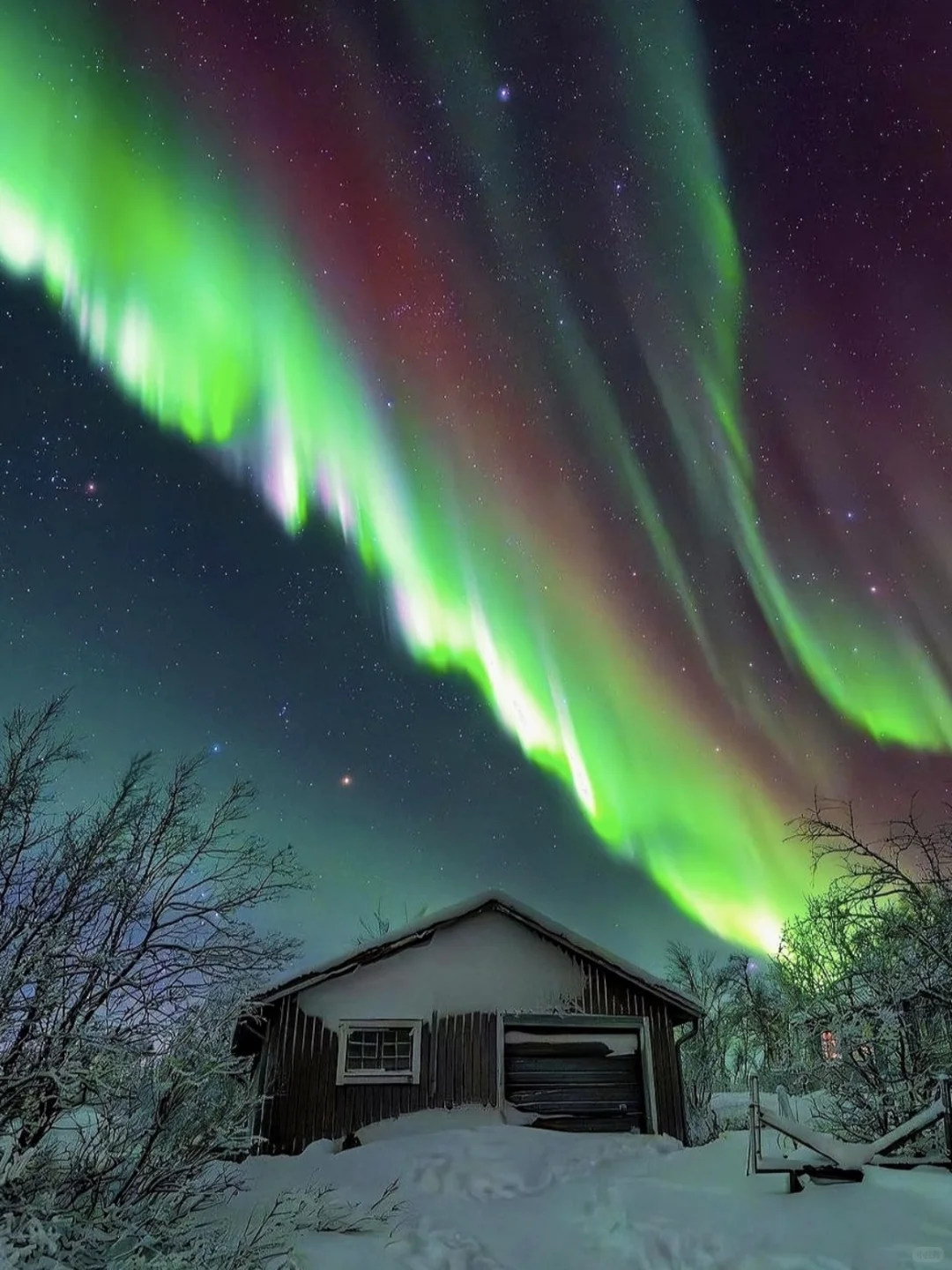 我宣布，新西兰是全球追极光最便宜的国家！