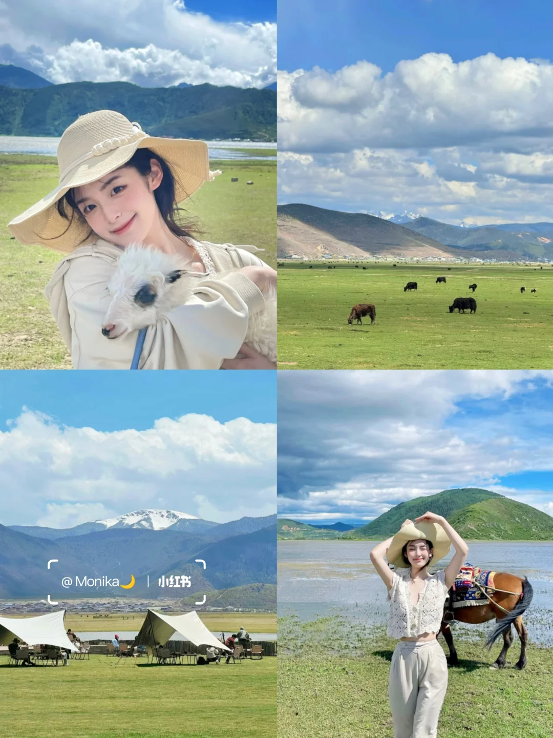 和男友去云南👫七天花了2600，谈谈感受！