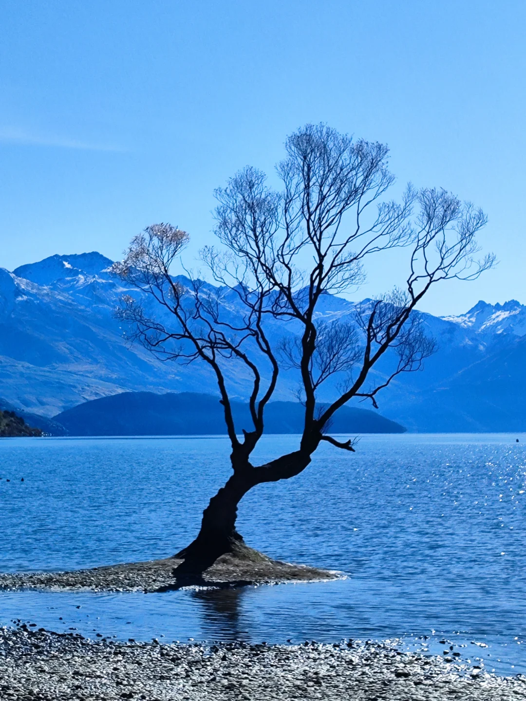 新西兰五一假期人均1.1w，7天6晚，不自驾版