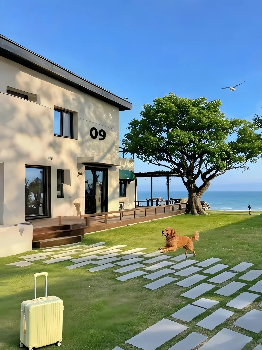 不是济州岛！是秦皇岛！300俩人😭海边小院